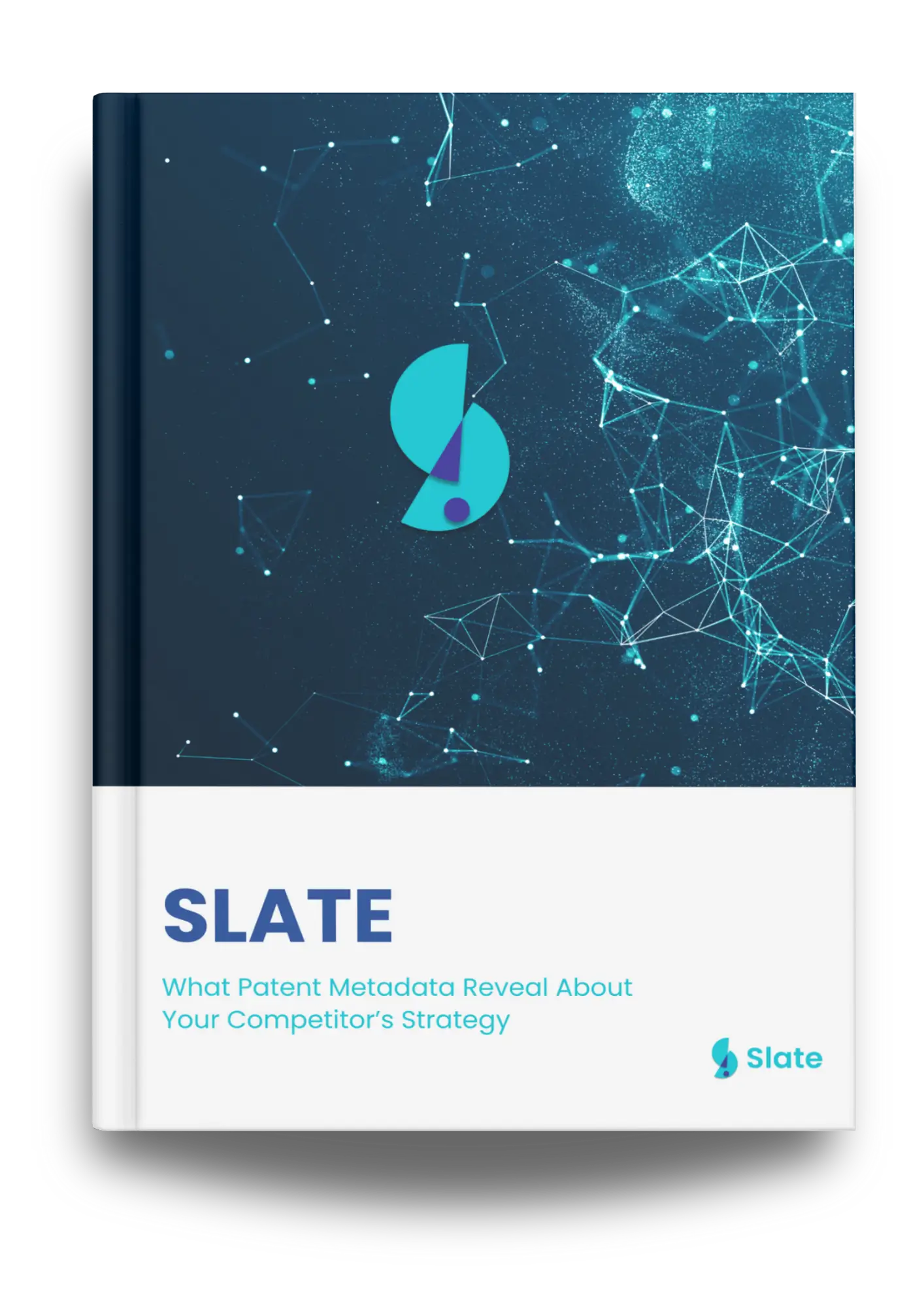 Slate IP Report