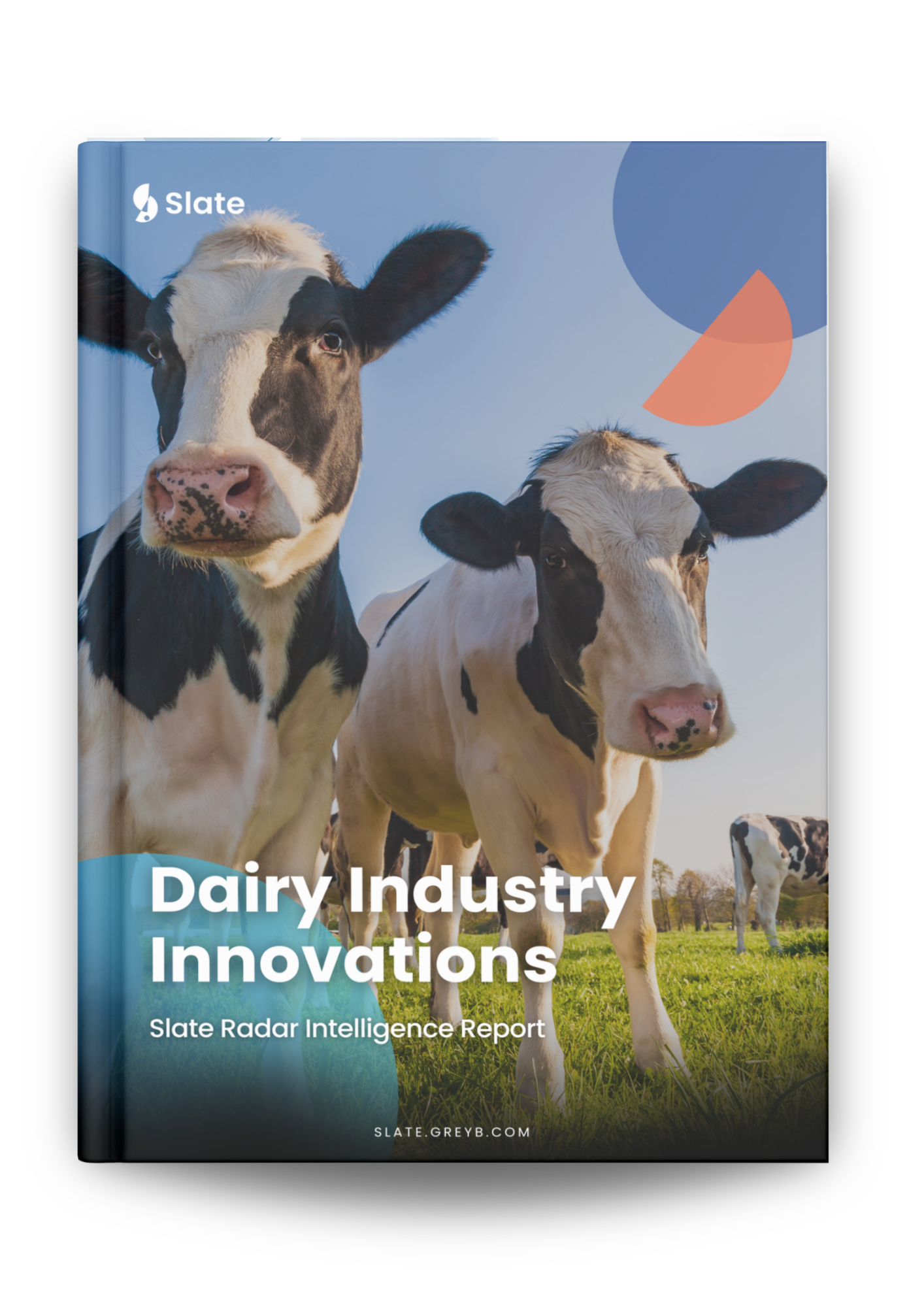 Dairy Innovations Report
