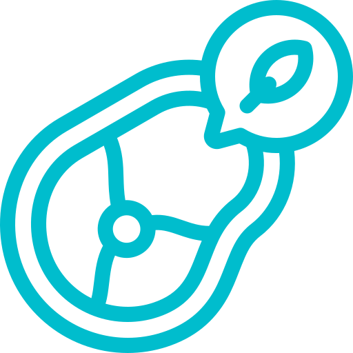 Plant based meat icon