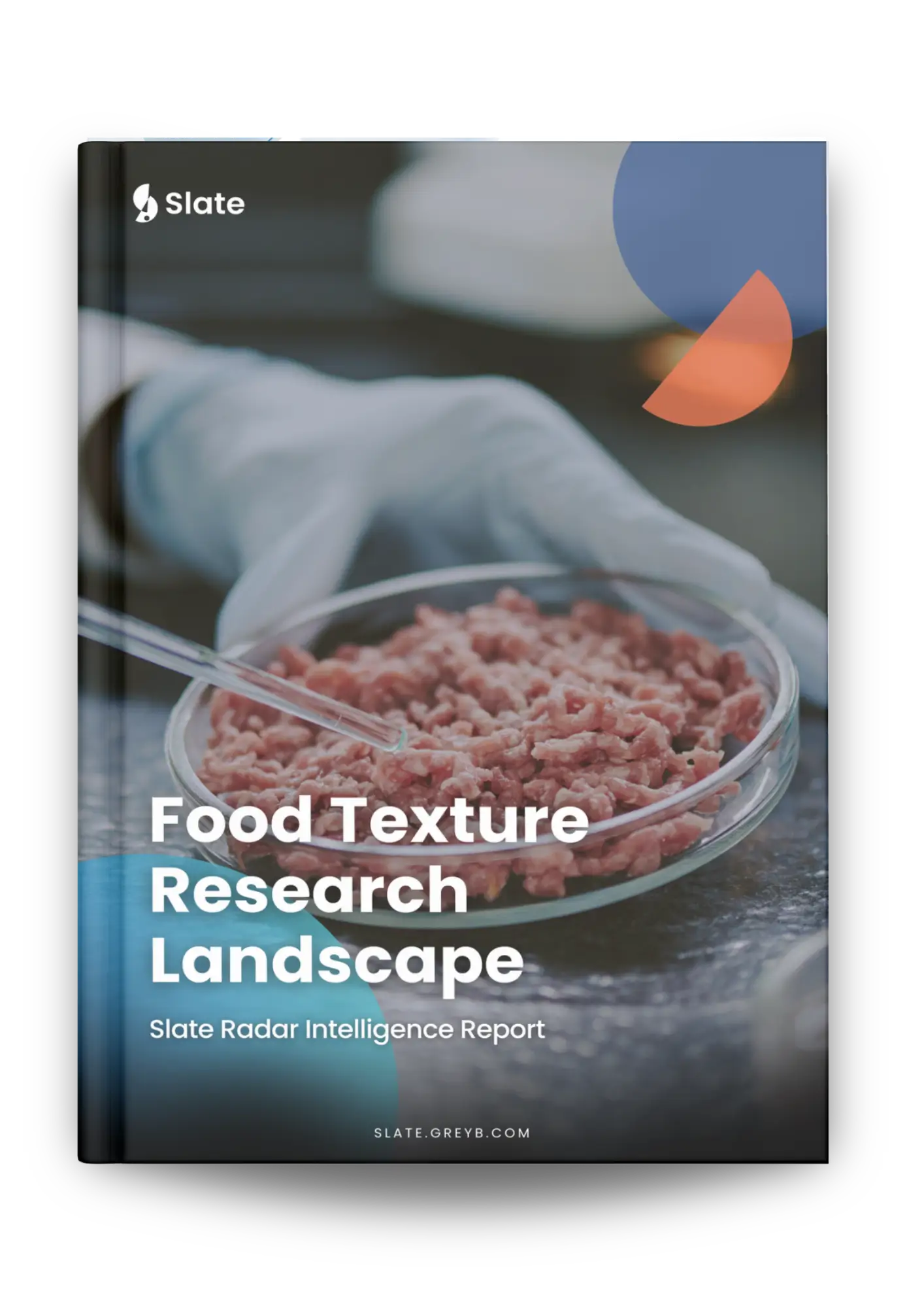 Food Texture Research Landscape Report