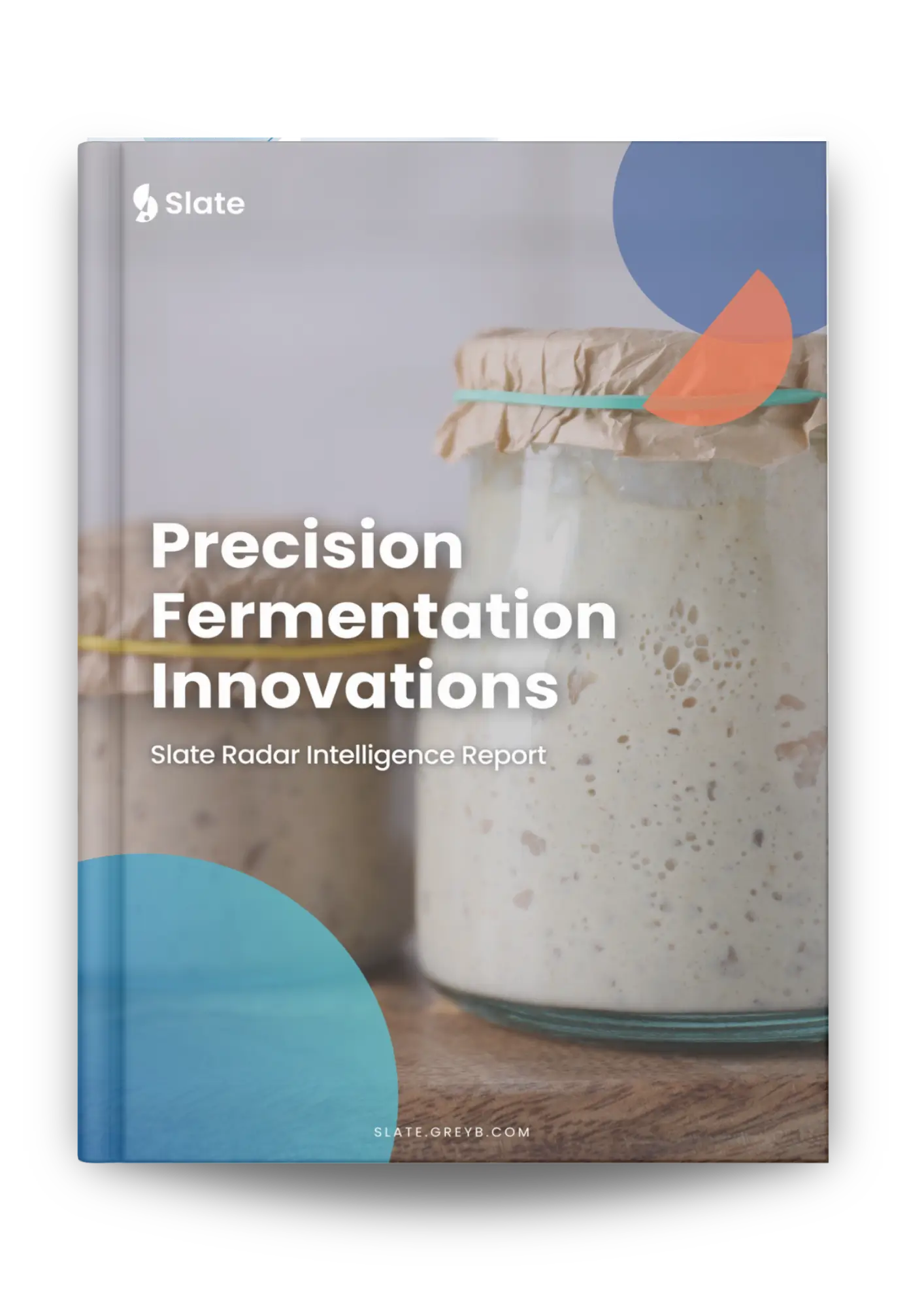 Precision Fermentation Innovations Report
